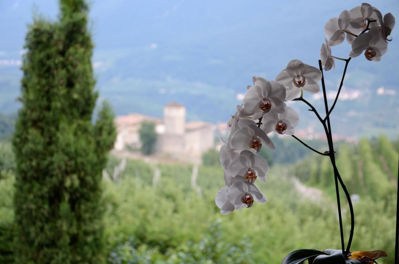 Bed and Breakfast Al Trifoglio Campodenno Exteriér fotografie